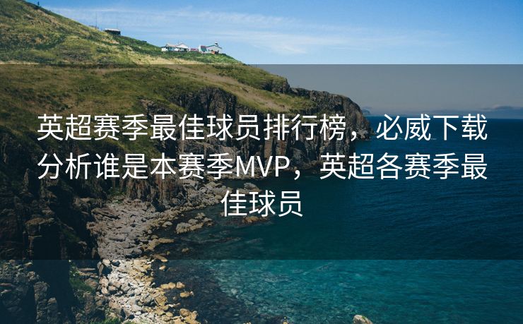 英超赛季最佳球员排行榜，必威下载分析谁是本赛季MVP，英超各赛季最佳球员
