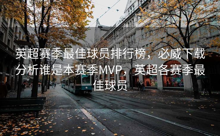 英超赛季最佳球员排行榜，必威下载分析谁是本赛季MVP，英超各赛季最佳球员