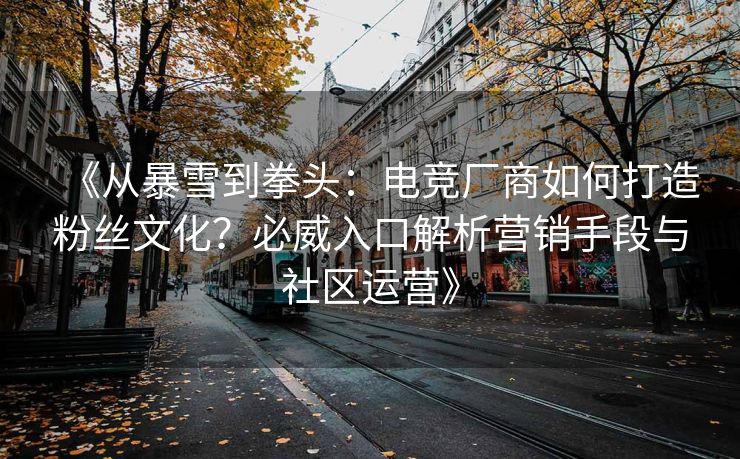 《从暴雪到拳头：电竞厂商如何打造粉丝文化？必威入口解析营销手段与社区运营》