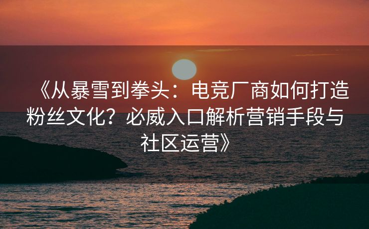 《从暴雪到拳头：电竞厂商如何打造粉丝文化？必威入口解析营销手段与社区运营》
